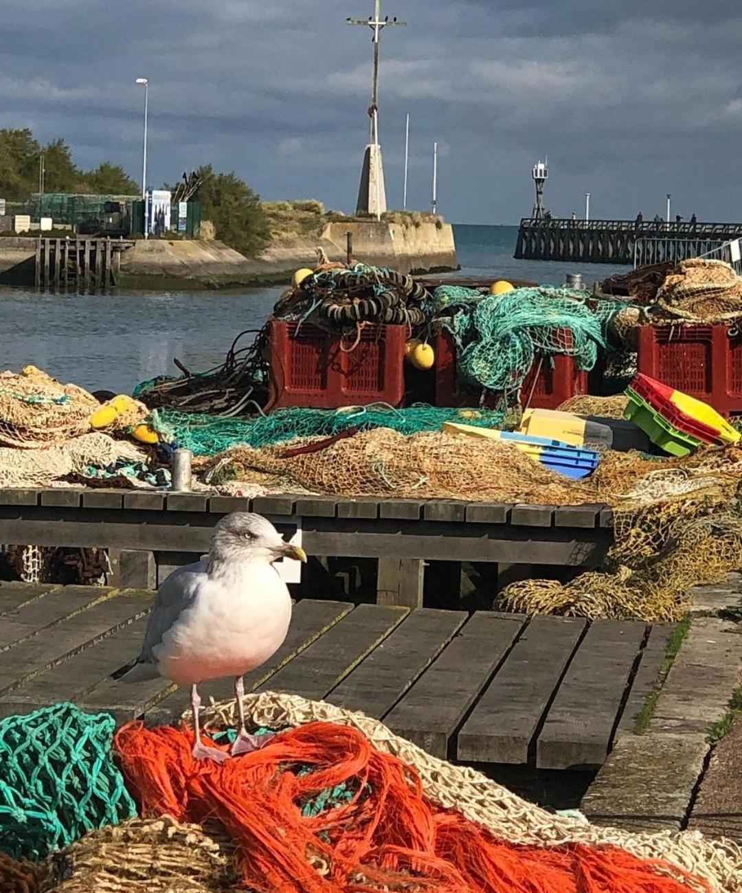 Entre Seulles & Mer Proche Port De Plaisance クルル・シュル・メール エクステリア 写真